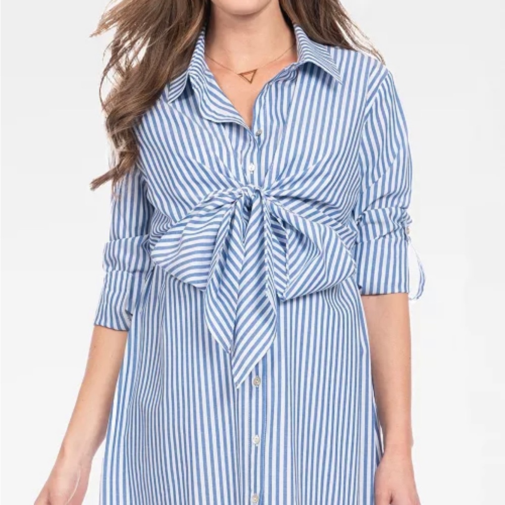 Seraphine maternity and nursing shirt dress
